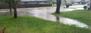 Flooded Yard
